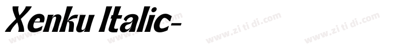 Xenku Italic字体转换